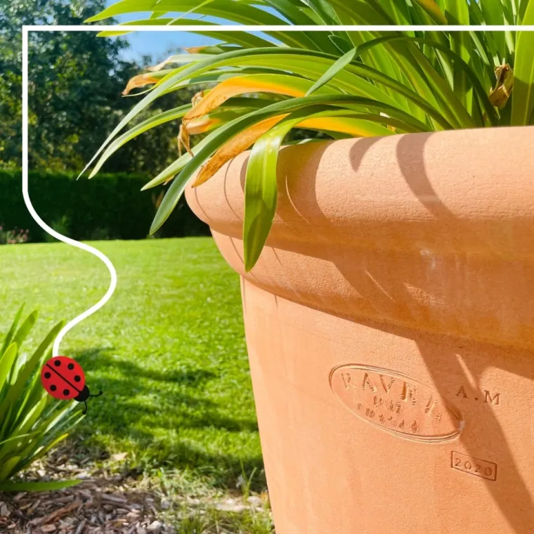 Osez le mobilier !, Pleumeleuc, Tendance Naturelle