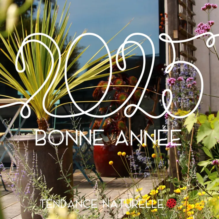 Bonne année 2025 !, Pleumeleuc, Tendance Naturelle