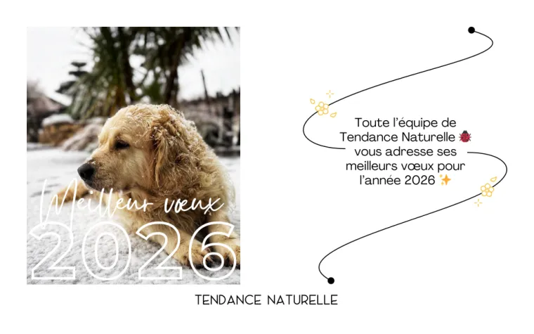 Vœux 2026, Pleumeleuc, Tendance Naturelle