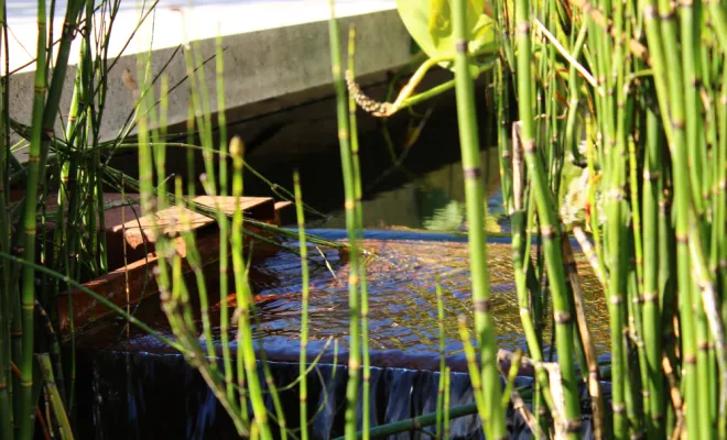 Bassin à Pleumeleuc